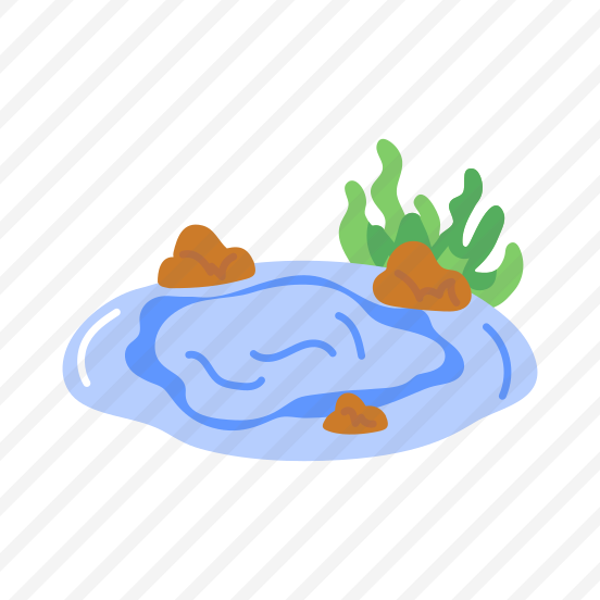 Tidal Pool, Poolside, Coast, Outdoor, Summer preview