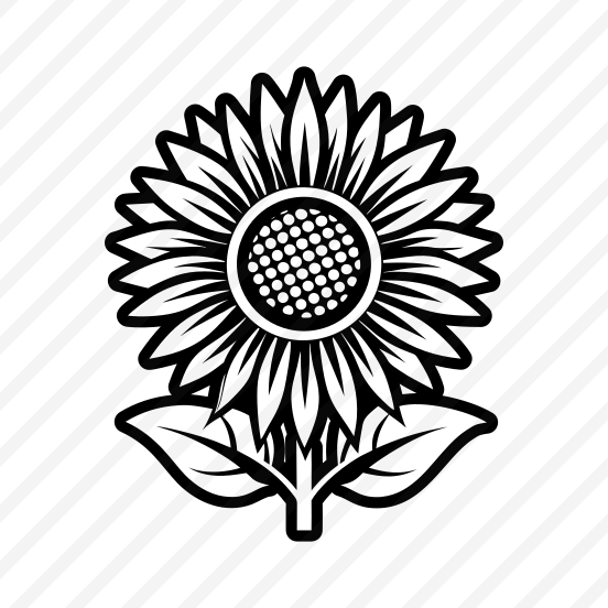 Garden Flower, Sunflower, Helianthus, Floral, Nature,,vector preview