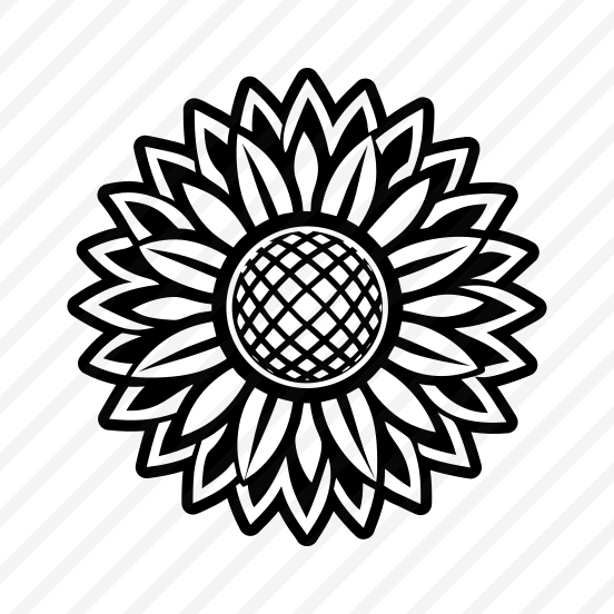 Sunflower, Helianthus, Flower, Nature, Floral,,flat preview