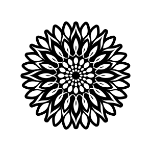 ,sunflower, Helianthus, Flower, Nature, Floral,,vector icon