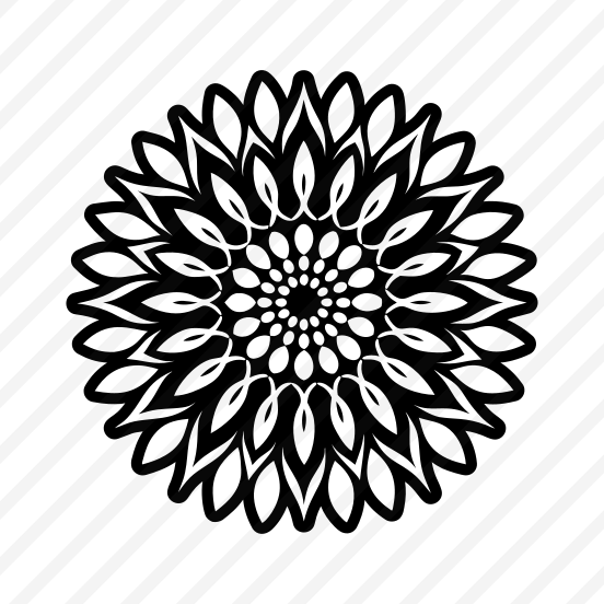 Sunflower, Helianthus, Flower, Nature, Floral,,vector preview