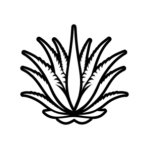 Aloe Leaf, Nature, Sabila, Plant, Leaf,,vector icon