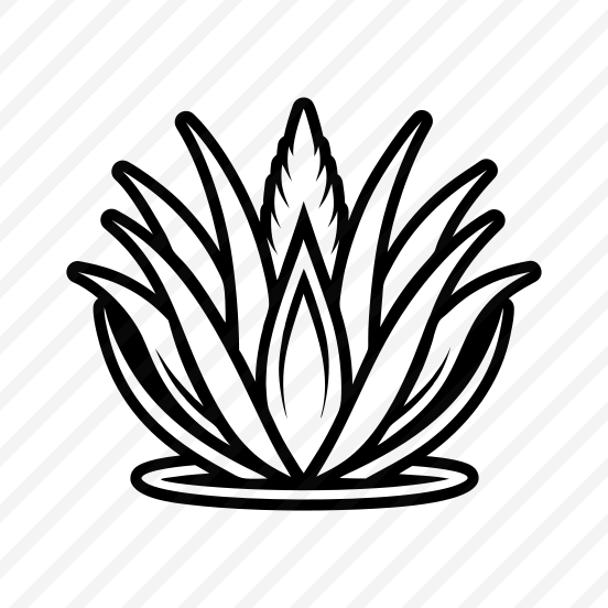 Aloe Logo, Nature, Sabila, Plant, Leaf, preview