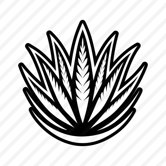 Aloe Logo, Nature, Sabila, Plant, Leaf,,icons preview