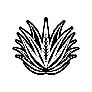 Aloe Plant, Nature, Sabila, Plant, Leaf, icon