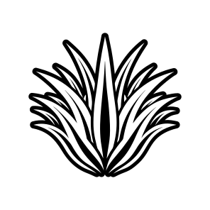 Aloe Plant, Nature, Sabila, Plant, Leaf,,flat icon