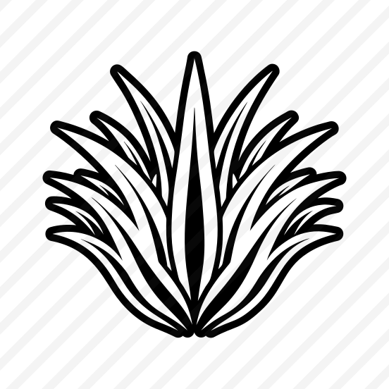 Aloe Plant, Nature, Sabila, Plant, Leaf,,flat preview