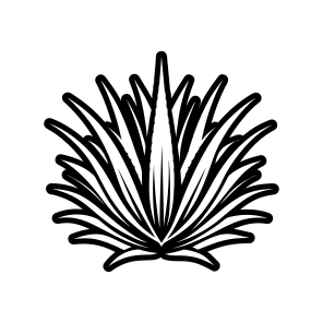 Aloe Plant, Nature, Sabila, Plant, Leaf,,simple Icon icon