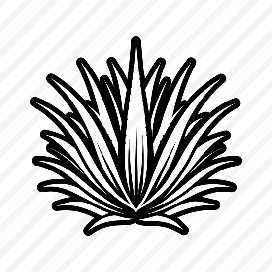 Aloe Plant, Nature, Sabila, Plant, Leaf,,simple Icon preview