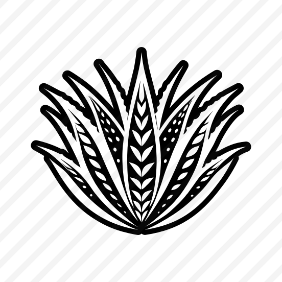 Aloe Plant, Nature, Sabila, Plant, Leaf,,vector preview