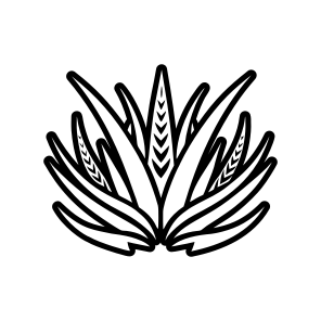 Aloe Symbol, Nature, Sabila, Plant, Leaf, icon