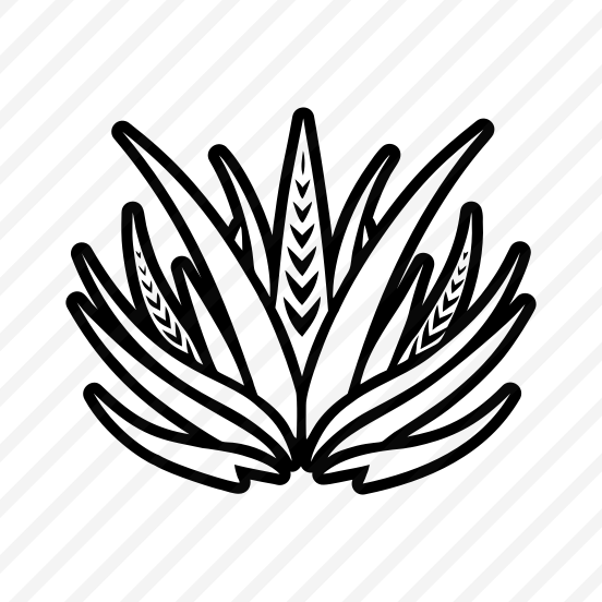 Aloe Symbol, Nature, Sabila, Plant, Leaf, preview