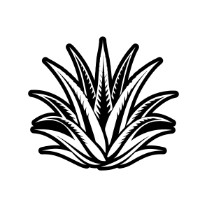 Aloe Symbol, Nature, Sabila, Plant, Leaf,,simple Icon icon