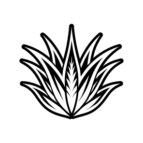 Aloe Symbol, Nature, Sabila, Plant, Leaf,,vector icon