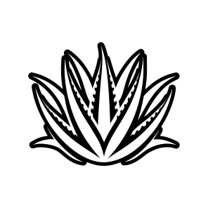 Aloe Vera, Nature, Sabila, Plant, Leaf,,flat icon