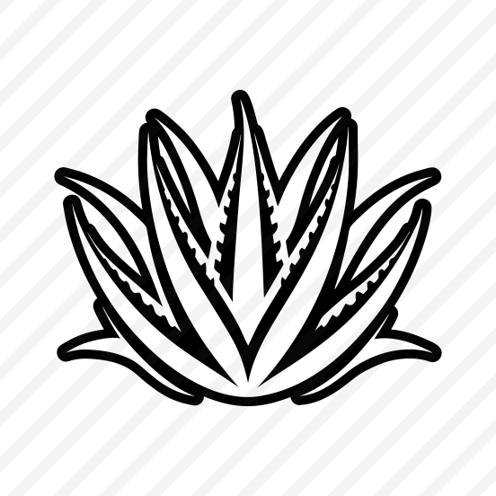 Aloe Vera, Nature, Sabila, Plant, Leaf,,flat preview