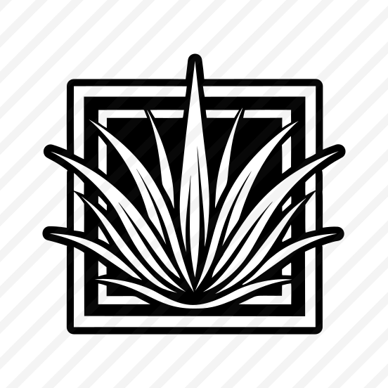 Aloe Vera, Nature, Sabila, Plant, Leaf,,icons preview