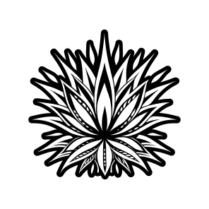 Aloe Vera, Nature, Sabila, Plant, Leaf,,simple Icon icon