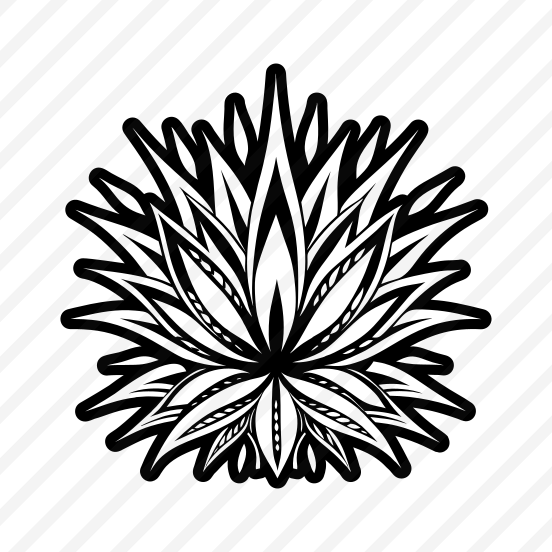 Aloe Vera, Nature, Sabila, Plant, Leaf,,simple Icon preview