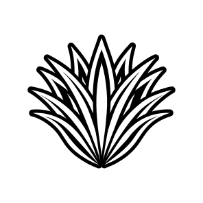 Aloe Vera, Nature, Sabila, Plant, Leaf,,vector icon