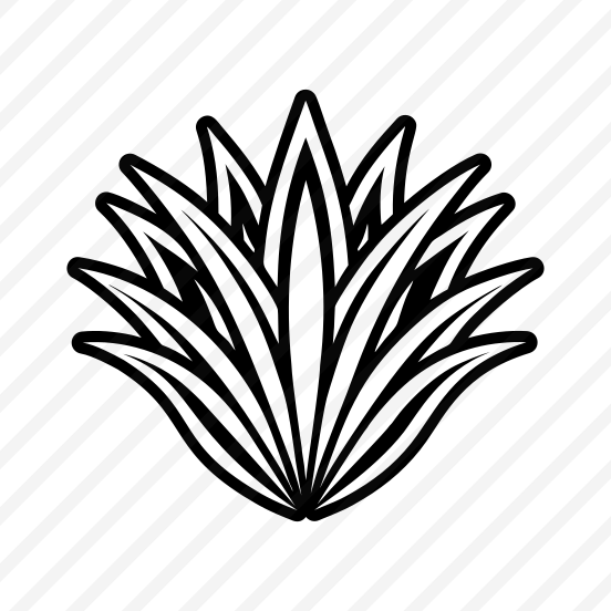 Aloe Vera, Nature, Sabila, Plant, Leaf,,vector preview
