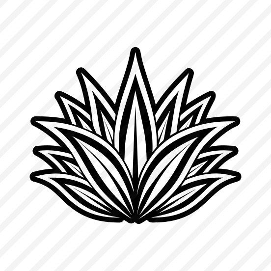 Nature Symbol, Sabila, Plant, Leaf, Nature preview