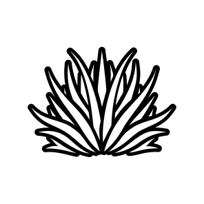 Nature Symbol, Sabila, Plant, Leaf, Nature,flat icon