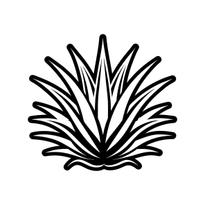 Nature Symbol, Sabila, Plant, Leaf, Nature,simple Icon icon