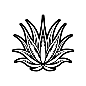 Plant Logo, Nature, Sabila, Plant, Leaf, icon
