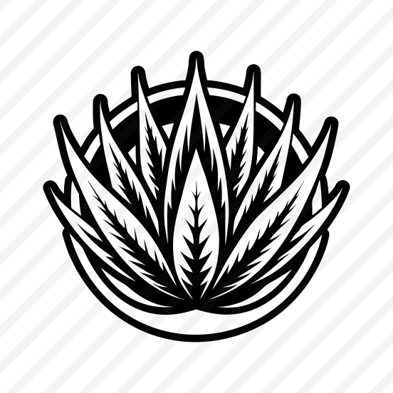 Plant Logo, Nature, Sabila, Plant, Leaf,,vector preview