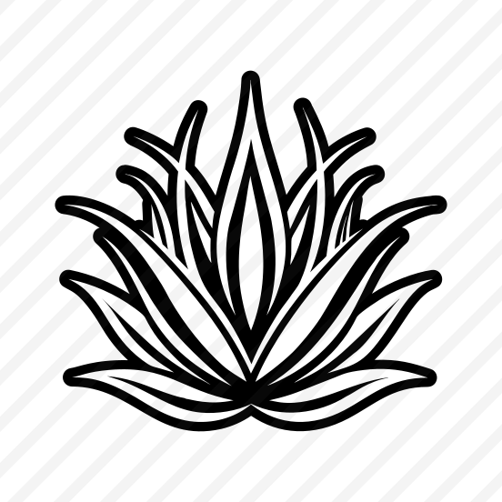 Plant Symbol, Nature, Sabila, Plant, Leaf, preview