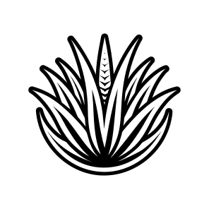 Plant Symbol, Nature, Sabila, Plant, Leaf,,flat icon