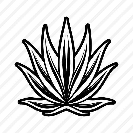 Plant Symbol, Nature, Sabila, Plant, Leaf,,vector preview