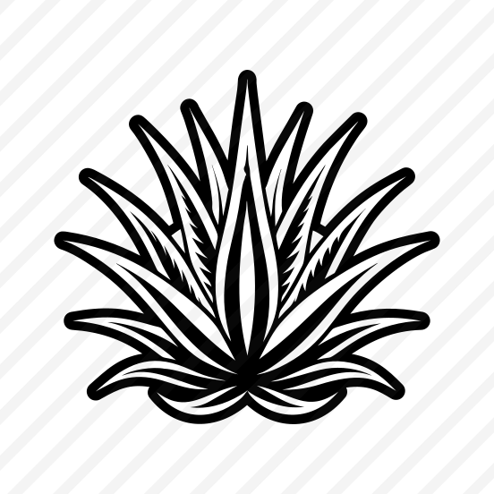 Sabila Logo, Nature, Sabila, Plant, Leaf,,vector preview