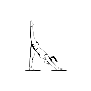 Moon Pose, Asanas, Yoga, Fitness, Workout, icon
