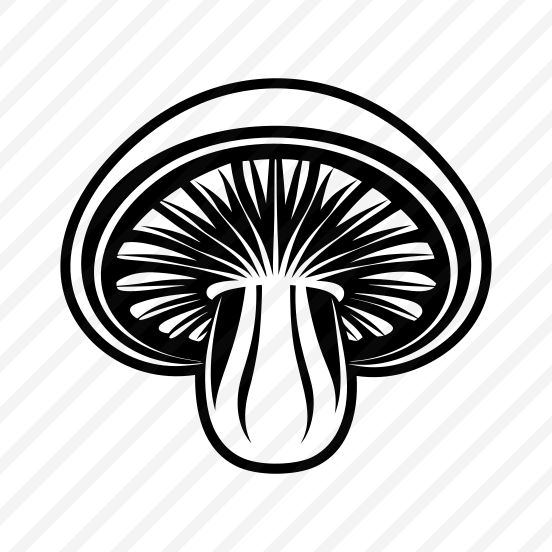 Fungus Logo, Toadstool, Plant, Nature, Botanical,,vector preview