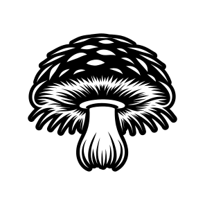 Fungus Symbol, Toadstool, Plant, Nature, Botanical,,vector icon