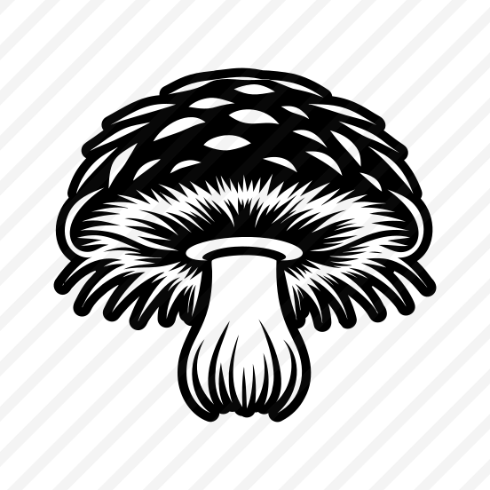 Fungus Symbol, Toadstool, Plant, Nature, Botanical,,vector preview