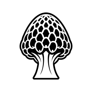 Plant Symbol, Toadstool, Mushroom, Nature, Botanical,,vector icon
