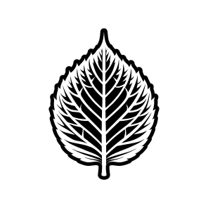 Botanical Logo, Nature, Foliage, Leafage, Leaf, icon
