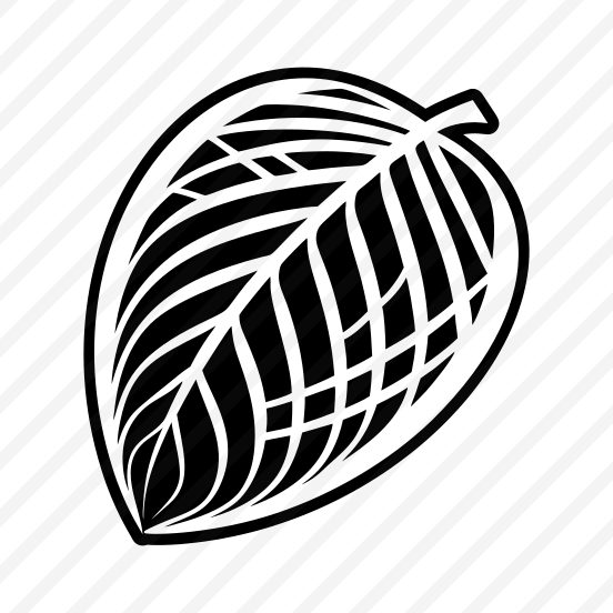 Foliage Logo, Nature, Leaf, Leafage, Botanical,,vector preview