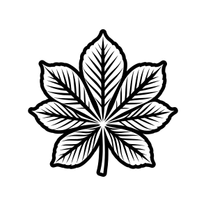 Leaf Logo, Nature, Foliage, Leafage, Botanical,,icons icon