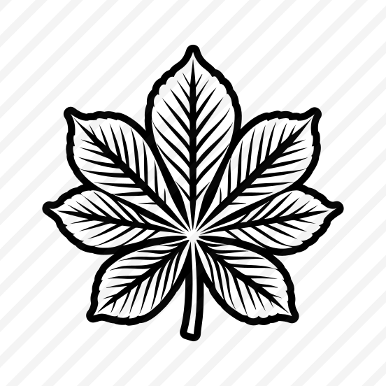 Leaf Logo, Nature, Foliage, Leafage, Botanical,,icons preview