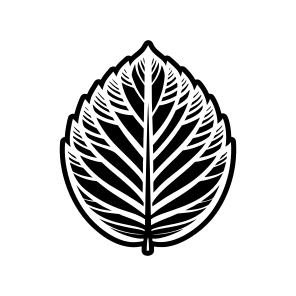 Leafage Logo, Nature, Foliage, Leaf, Botanical,,flat icon