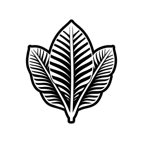 Nature Logo, Leaf, Foliage, Leafage, Botanical,,flat icon