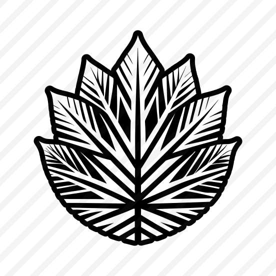 Nature Symbol, Leaf, Foliage, Leafage, Botanical,,vector preview