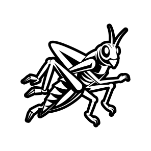 Caelifera Symbol, Nature, Creature, Specie, Insect,simple Icon icon