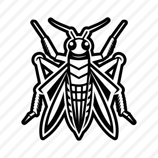 Grasshopper Specie, Nature, Creature, Caelifera, Insect,flat preview