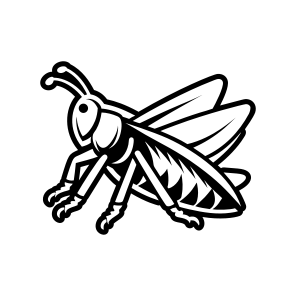 Grasshopper Specie, Nature, Creature, Caelifera, Insect,simple Icon icon