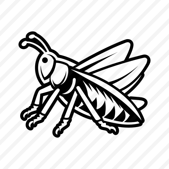 Grasshopper Specie, Nature, Creature, Caelifera, Insect,simple Icon preview